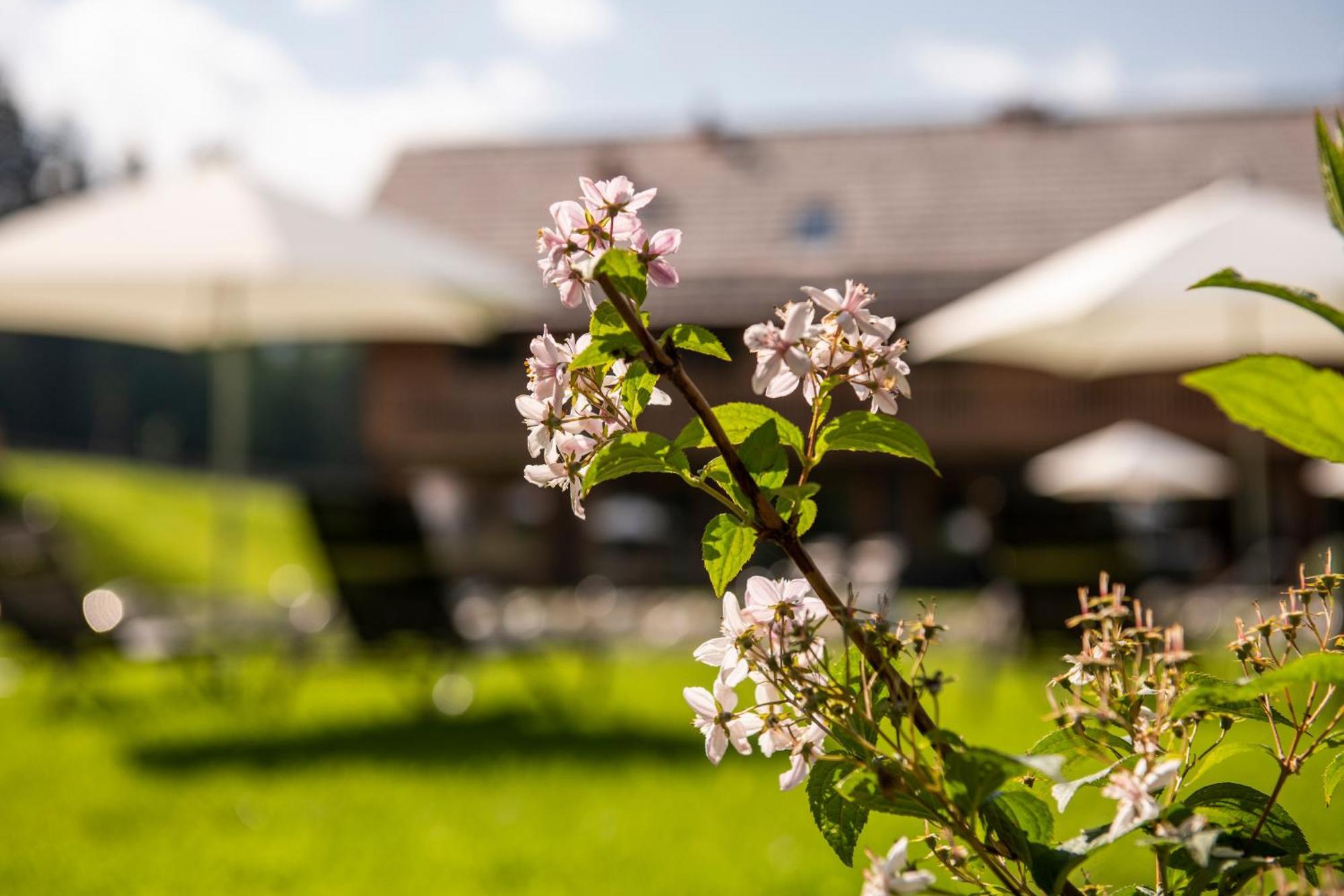 Lerchpeuntgut Alpenfreud Apartments Тамсвег Екстериор снимка