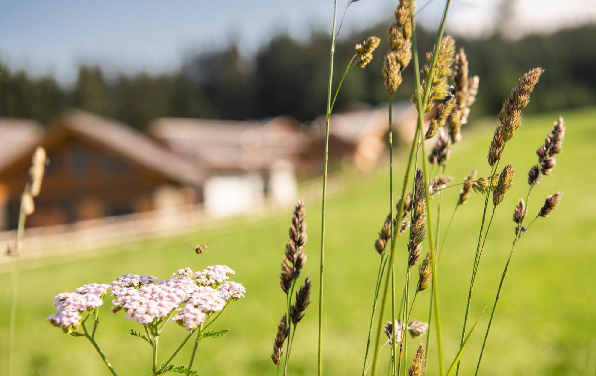 Lerchpeuntgut Alpenfreud Apartments Тамсвег Екстериор снимка