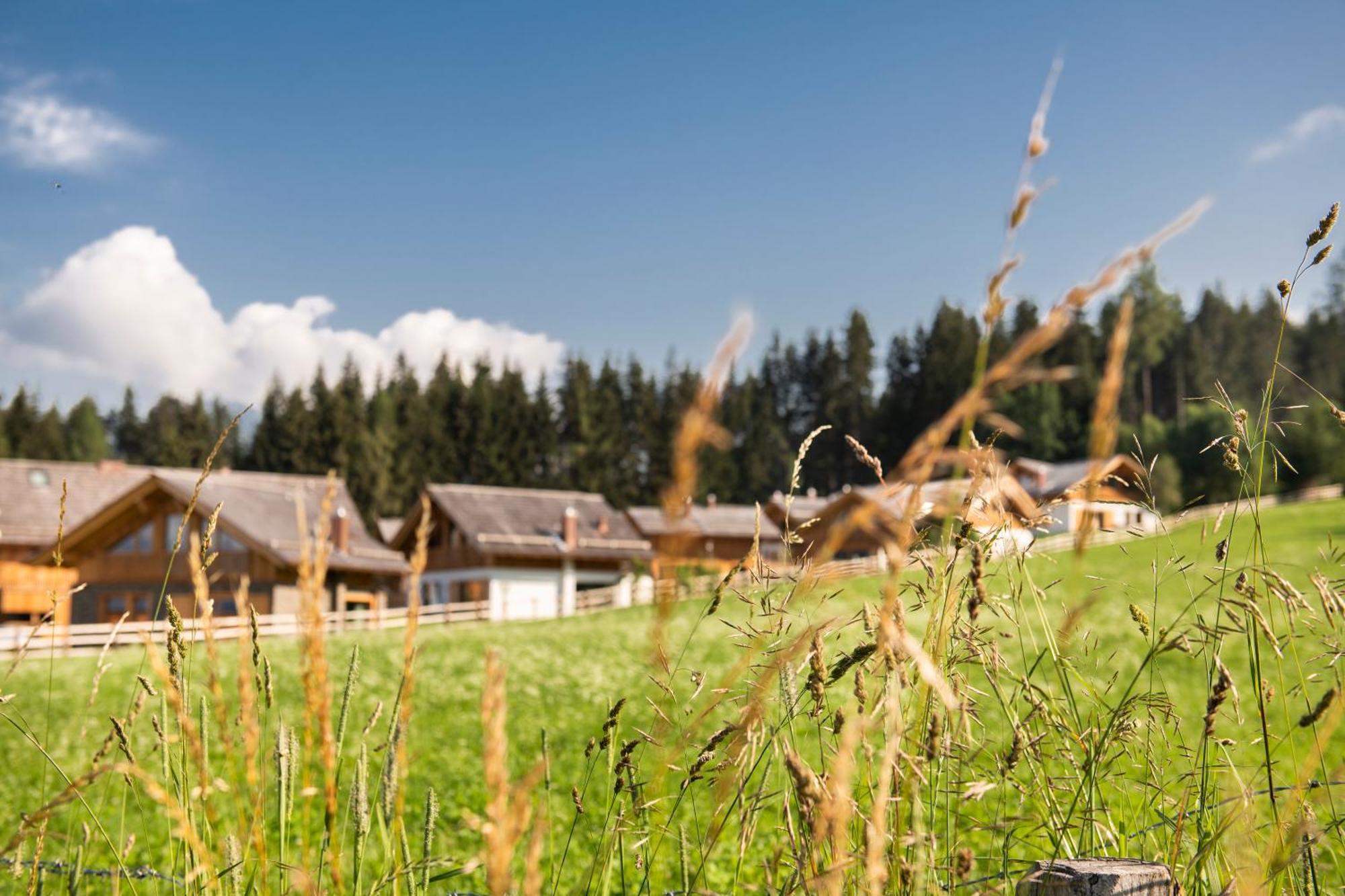 Lerchpeuntgut Alpenfreud Apartments Тамсвег Екстериор снимка