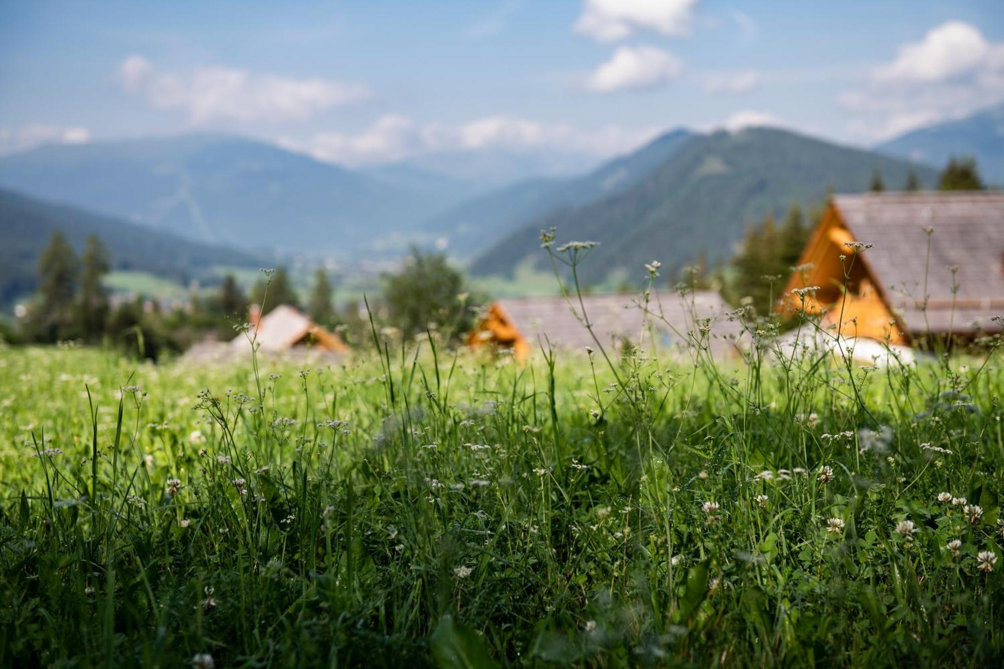 Lerchpeuntgut Alpenfreud Apartments Тамсвег Екстериор снимка