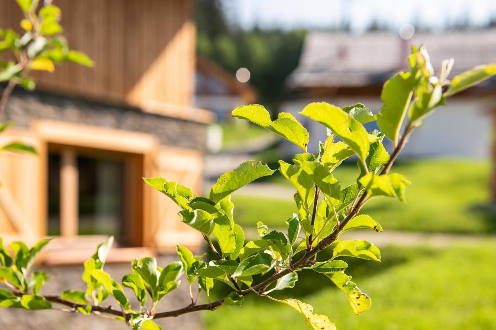 Lerchpeuntgut Alpenfreud Apartments Тамсвег Екстериор снимка