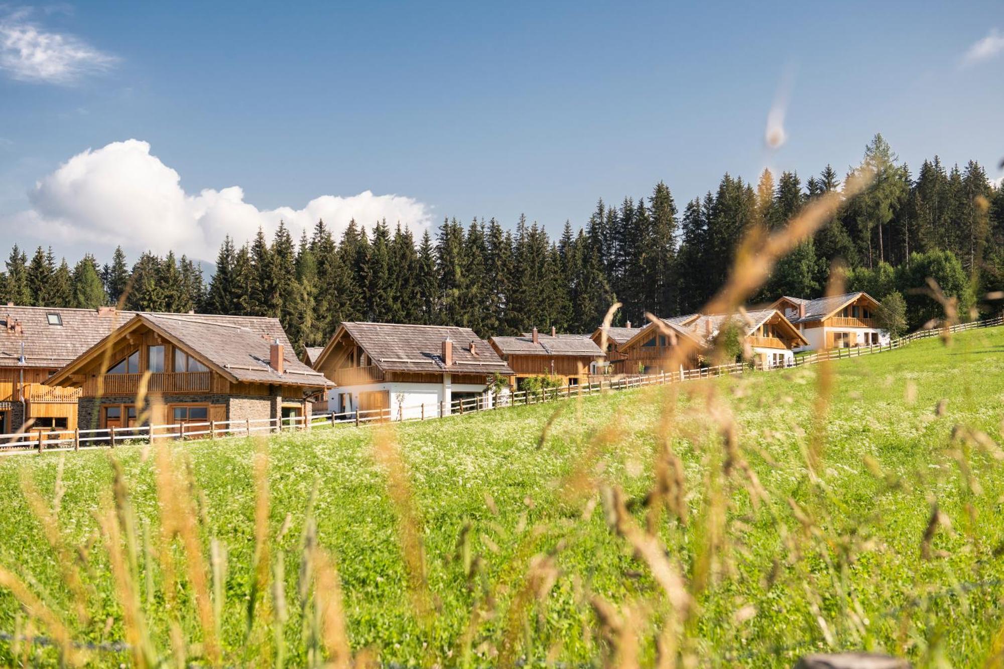 Lerchpeuntgut Alpenfreud Apartments Тамсвег Екстериор снимка